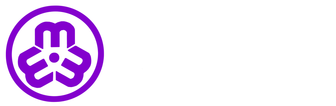 SPARK ENTERTAINMENT INC.